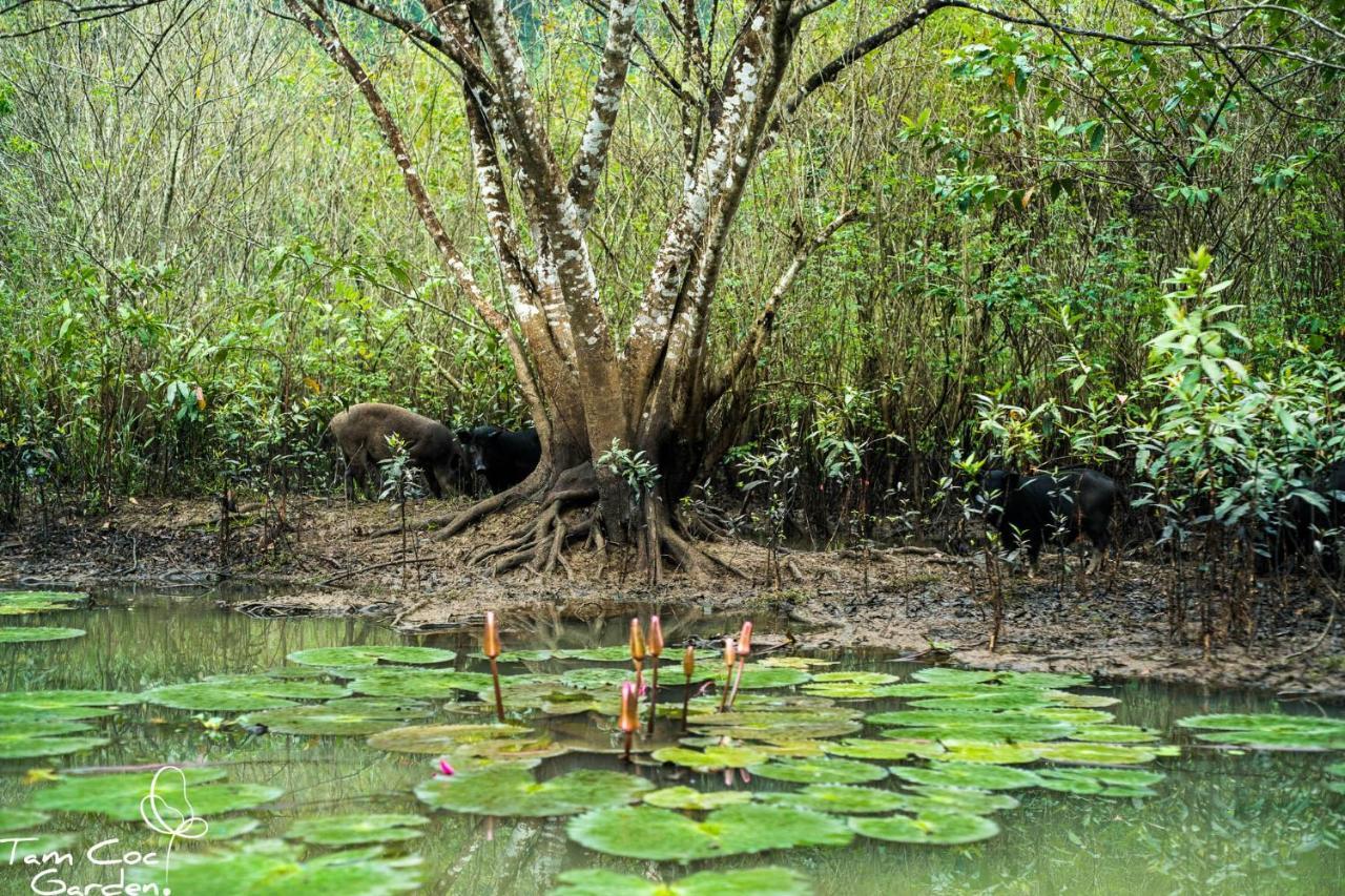 Tam Coc Garden