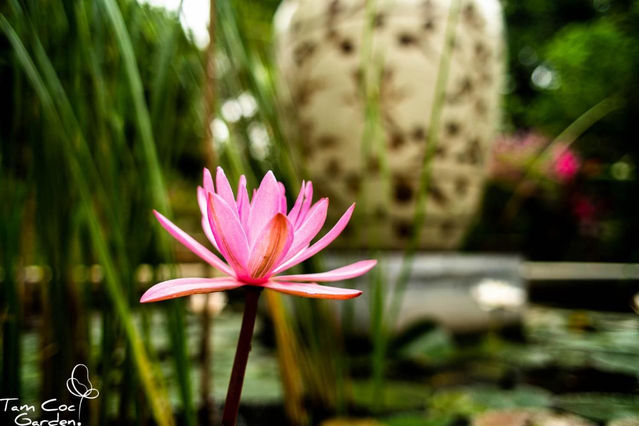 Tam Coc Garden Station touristique Ninh Bình