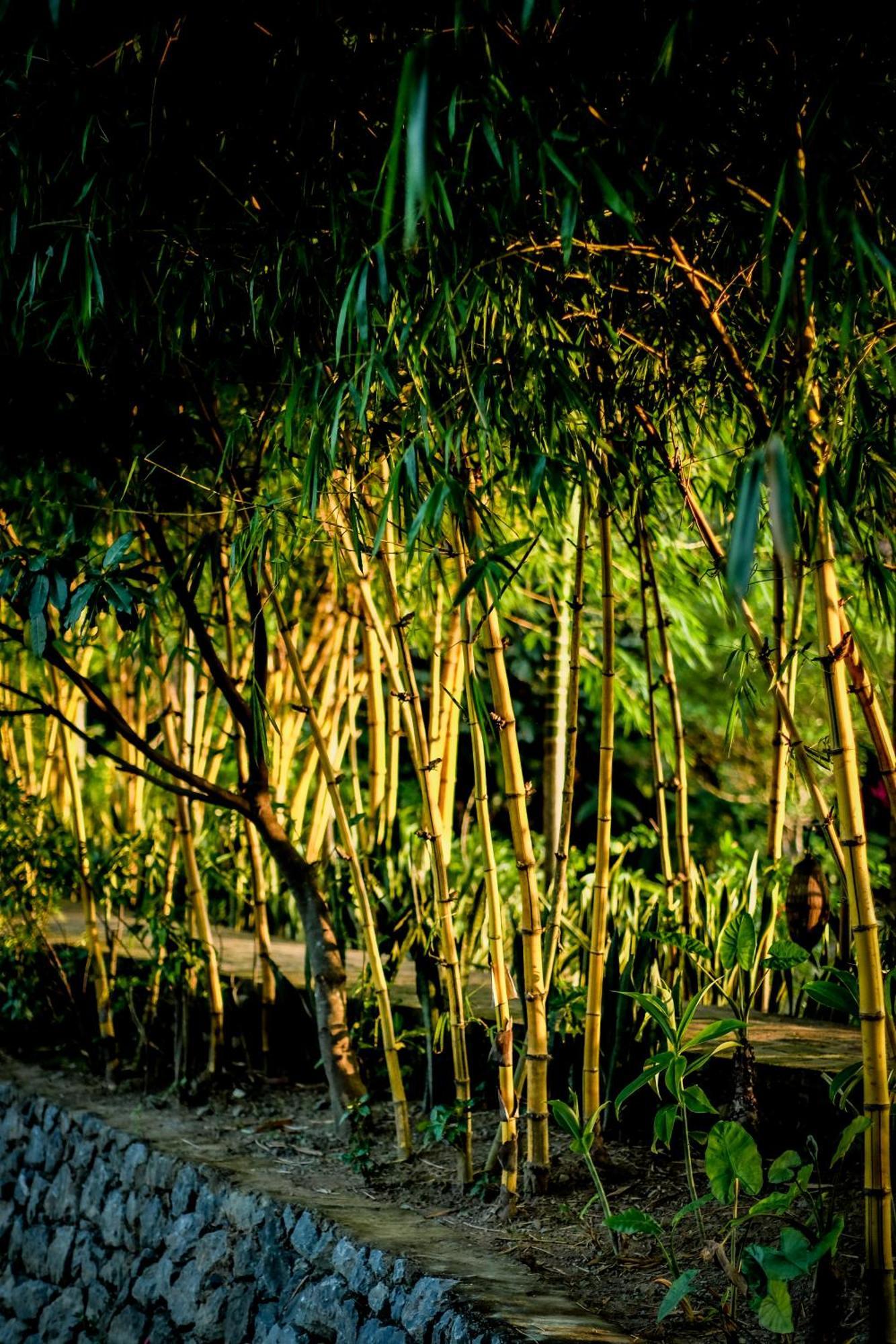 Tam Coc Garden Resort Ninh Binh